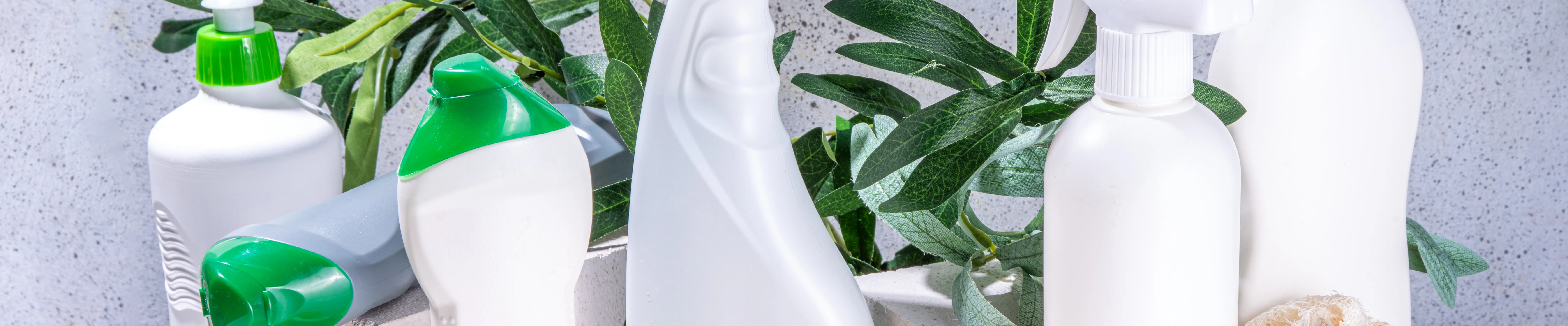 carpet cleaning in queens, carpet cleaning queens, carpet cleaners in queens, carpet cleaners in queens, commercial carpet cleaning, commercial carpet cleaning in queens, queens rug cleaners, rug cleaning services in queens, same day carpet cleaning, same day rug cleaning in queens