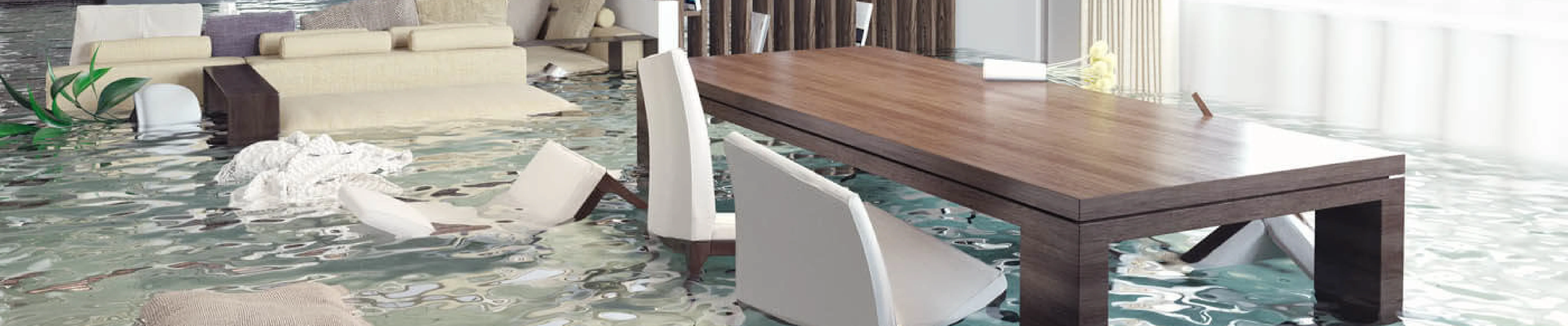 carpet cleaning in queens, carpet cleaning queens, carpet cleaners in queens, carpet cleaners in queens, commercial carpet cleaning, commercial carpet cleaning in queens, queens rug cleaners, rug cleaning services in queens, same day carpet cleaning, same day rug cleaning in queens