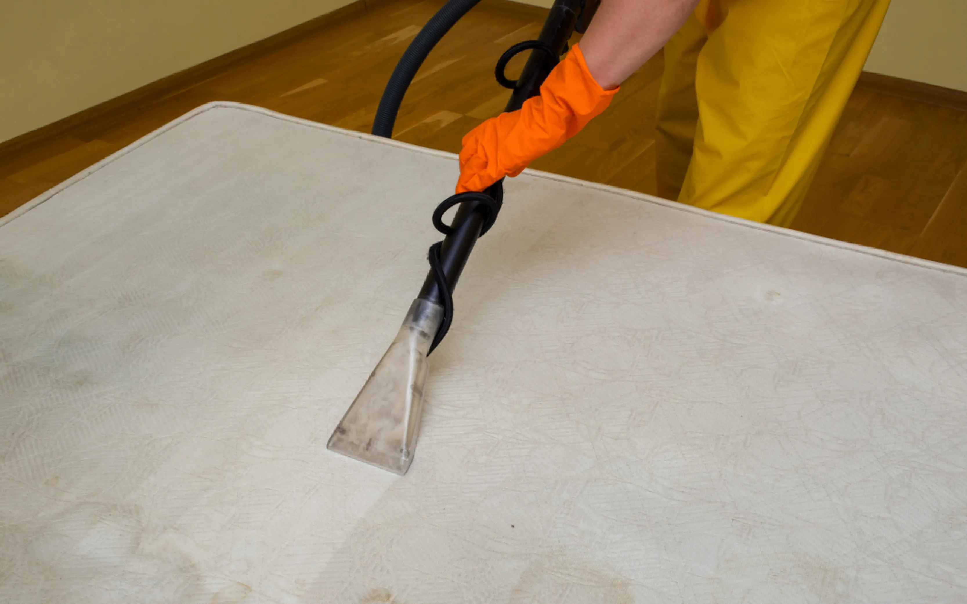 carpet cleaning in queens, carpet cleaning queens, carpet cleaners in queens, carpet cleaners in queens, commercial carpet cleaning, commercial carpet cleaning in queens, queens rug cleaners, rug cleaning services in queens, same day carpet cleaning, same day rug cleaning in queens